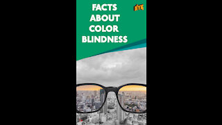 Top 4 Facts About Color Blindness *