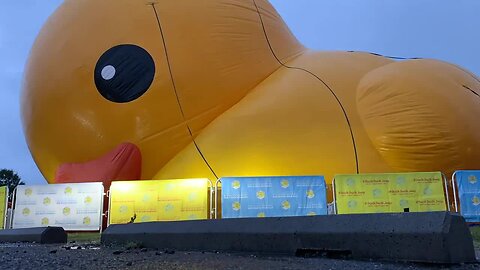 Time lapse: Here's how the World's Largest Rubber Duck came to be!