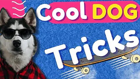 Cool Tricks To Teach Your Dog😎🐶