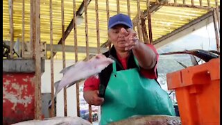 South Africa - Cape Town - Kalk Bay Fish Market (Hjm)