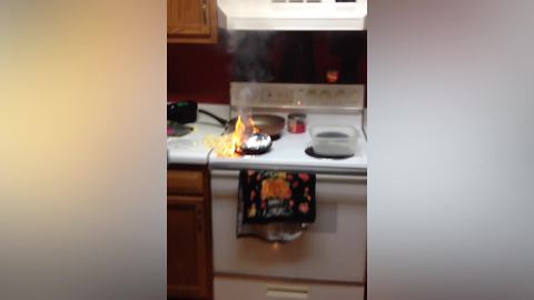 "Hilarious Woman Starts Fire in Kitchen"