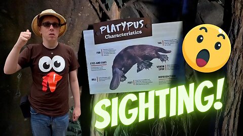 Platypus Sighting at San Diego Zoo Safari Park