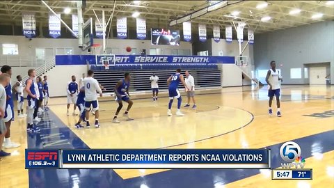 Lynn Athletic department self reports NCAA violations