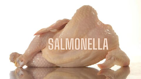 Salmonella: What It Is and How It Works!