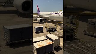 Hawaiian Airlines Airbus A330 Pau-ahi