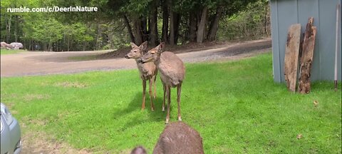 Spring visit with the whole family