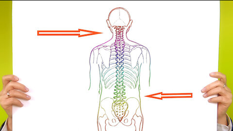 AA-Find Your Spine