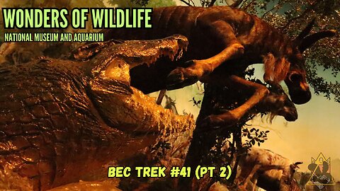 Windows To Other Worlds | Wonders of Wildlife | BEC TREK Episode 41 (Pt2)
