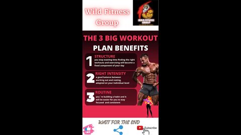 🔥The 3 big workout plan benefits🔥#shorts🔥#viralshorts🔥#fitnessshorts🔥#wildfitnessgroup🔥