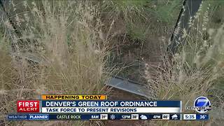 Denver's Green Roof Ordinance facing revisions