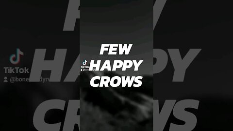 Few happy crows