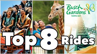 Top 8 Busch Gardens Rides | Tampa, FL