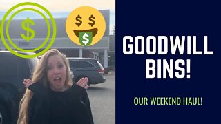 Our TWO DAY Thrift Haul - Goodwill Bins and Cool Finds!