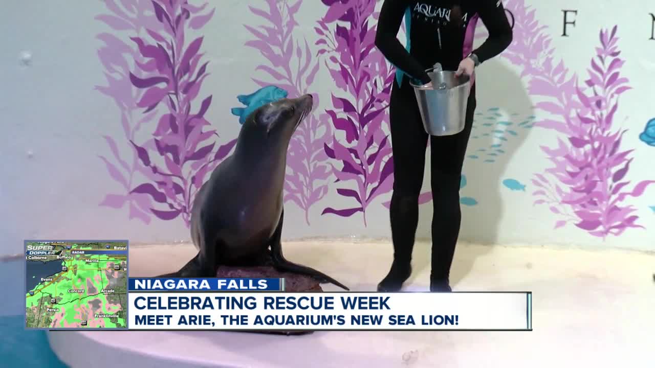 Newest rescued animals you can meet at Aquarium of Niagara