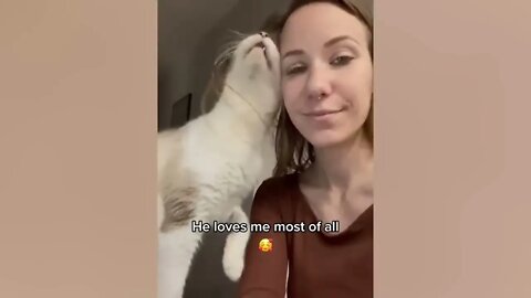 CATS Actually Love Their Humans, Here are the Proofs 2