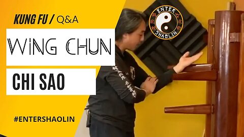 Wing Chun Chi Sao On A Wooden Dummy? | Kung Fu Training Question