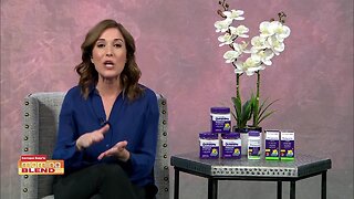 Natrol Kids | Morning Blend