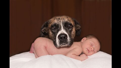 Dog Barks At Babysitter, So Mom Hides Camera In Hair