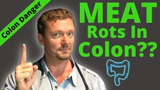 Meat ROTS in Your Colon?? (What Really Does…) 2021