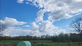 A day on the farm