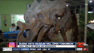 Buena Vista Museum to reopen Nov. 14, safety precautions in place