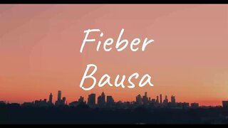 Bausa - Fieber (Lyrics)