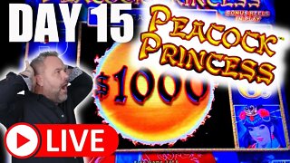 DAY 15 - HUGE Hand Pays 🛑 LIVE on Dragon Link!