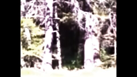 World Bigfoot TV: The Ghost town of Coloma 2022, pt 2