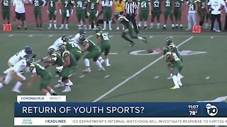 Group advocates for return of youth sports in California