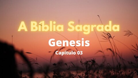 A Biblia Sagrada Narrada - Genesis 03