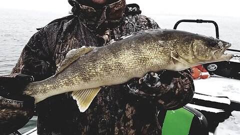 How To Find & Catch Walleye! (Walleye Fishing Tips & Tricks.)