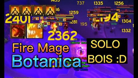 Botanica Fire Mage Solo 165 MOBS 12-15min/run - GOLD FARM WOTLK