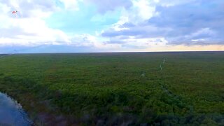 Everglades