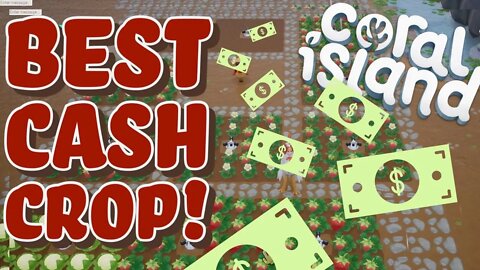 Coral Island Best Cash Crop