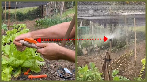 HOMEMADE IRRIGATOR INVENTIONS AND GAMBIARRAS