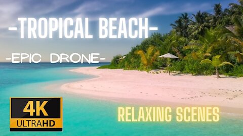 TROPICAL Beach 4K Drone View - Holiday Feeling - Beach Therapy | Free HD | 4K Videos