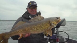 Big Sturgeon Bay Walleye