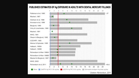 Mercury 102: The WHO Graph, Exposure Exceeds Allowable Limits, Estimates of Mercury Exposure