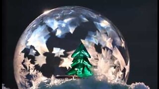 Natural snow globe complete with Christmas tree