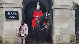 The Horse putting its ears back (angry)#horseguardsparade