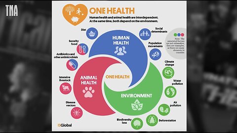 Dr. Joy Riley - Why is WHO "One Health" Scheme Dominated by Veterinarians?