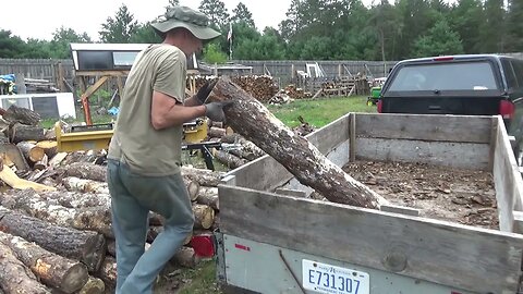 Processing Loads Of Free Pine Firewood For The Homestead