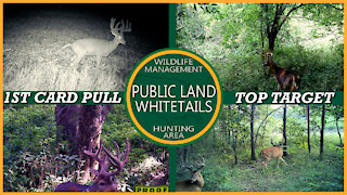 Giant On Trail Camera | Finding Big Bucks On Public Land | Big Public Bucks