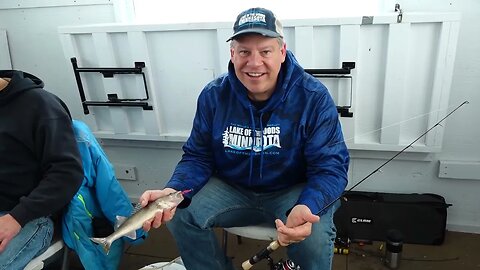 Walleye and Sauger on Lake of the Woods