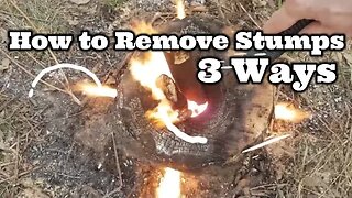 How to Remove Stumps 3 Ways