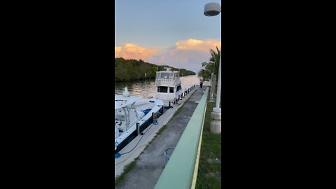 Blackpoint Marina Ocean Grill - Driving Miami