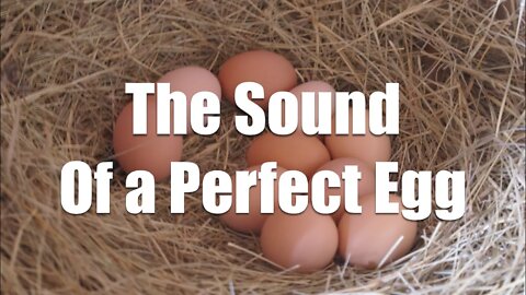 The Sound of Perfect Eggs