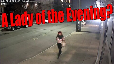 A Lady of the Evening Flashing the Cameras on North Main Street in Wilkes-Barre, PA