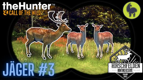 The Hunter: Call of the Wild, Jäger #3 Hirschfelden (PS5 4K)