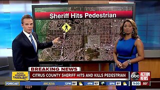 Citrus County sheriff hits, kills pedestrian on US 19, FHP says